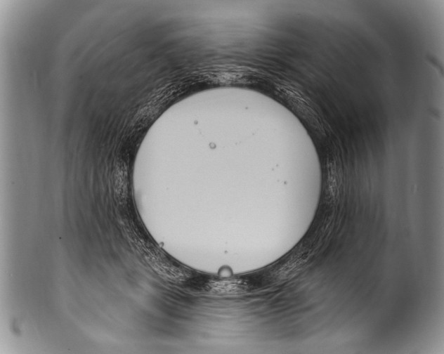 X0000100320461200806261230