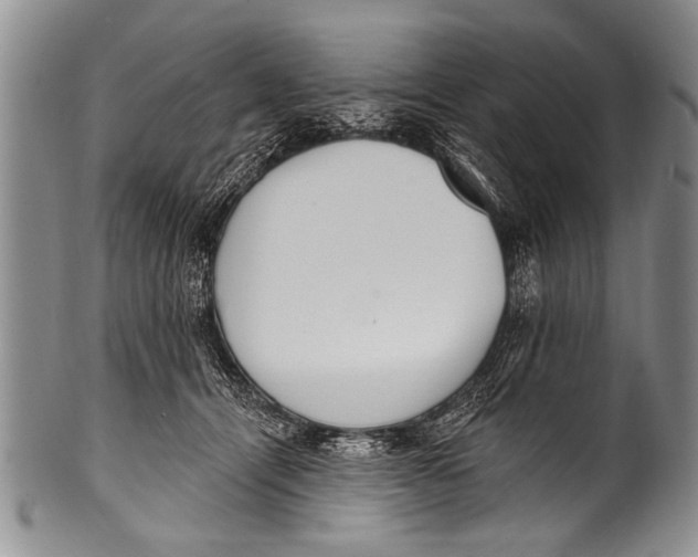 X0000100320464200806261230