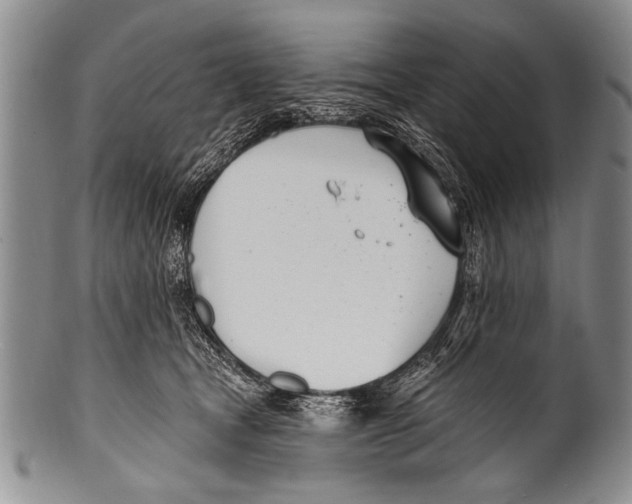 X0000100320465200806261230