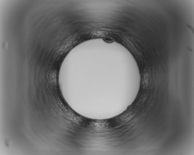 X0000100320466200806261230