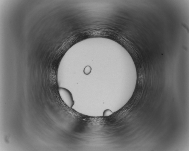 X0000100320469200806261230