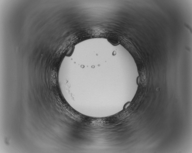 X0000100320470200806261230