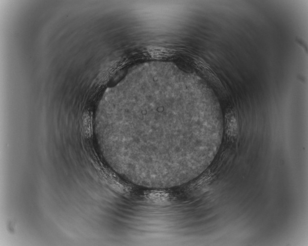 X0000100320471200806261230