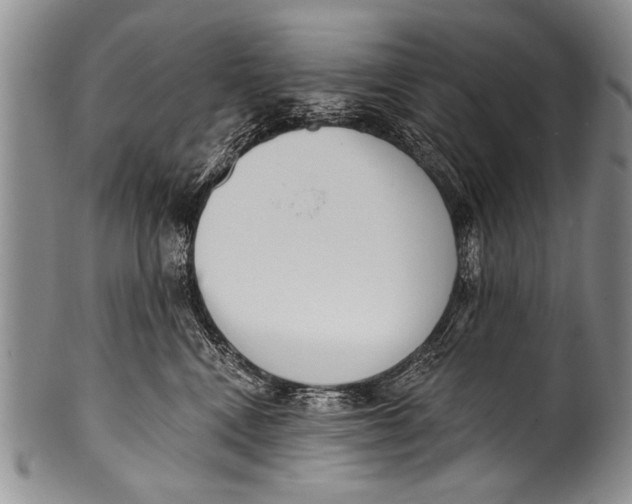 X0000100320472200806261230