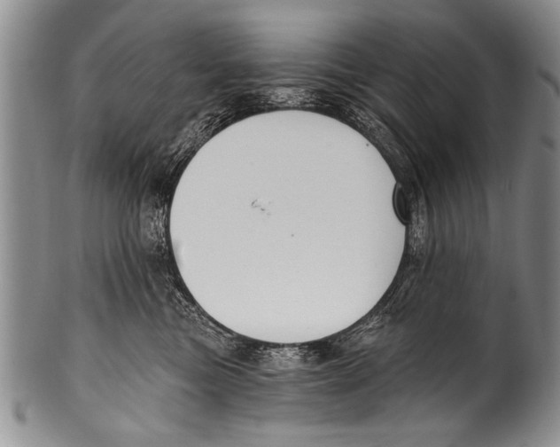 X0000100320473200806261230