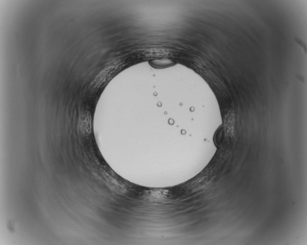 X0000100320474200806261230