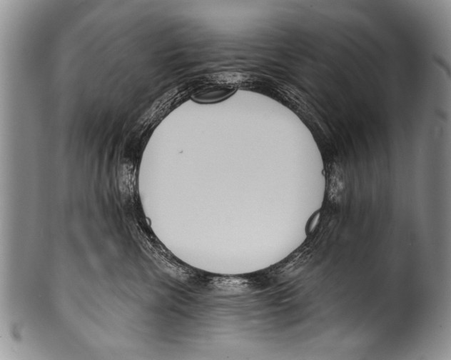 X0000100320476200806261231