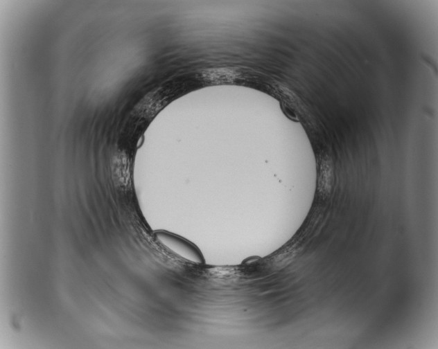 X0000100320477200806261231