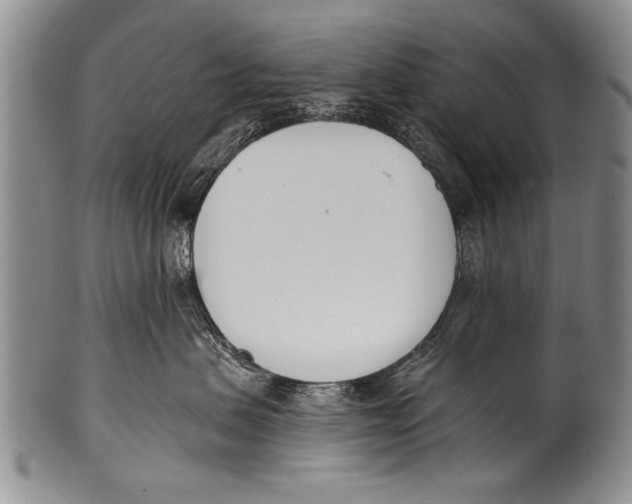 X0000100320479200806261231