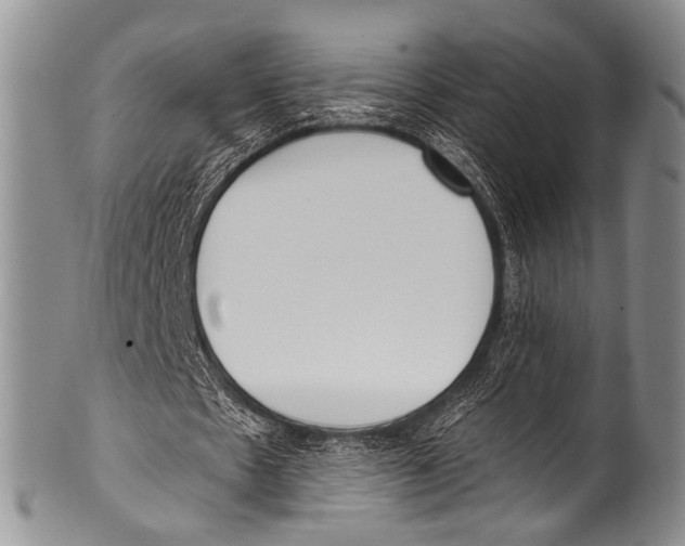 X0000100320481200806261230