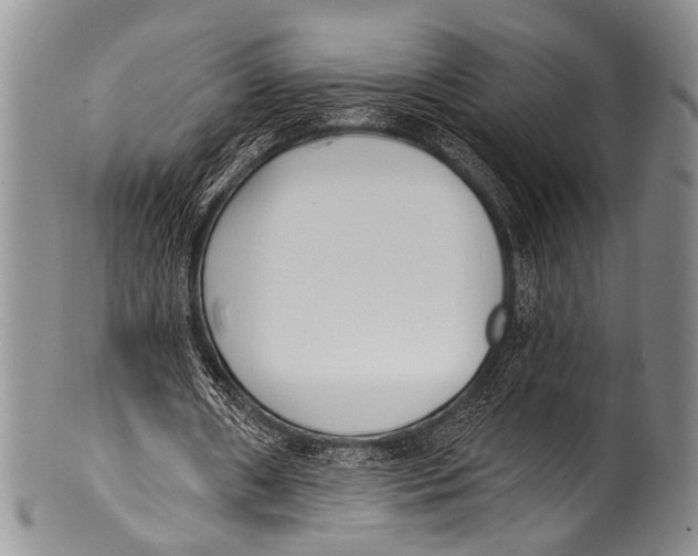 X0000100320482200806261230