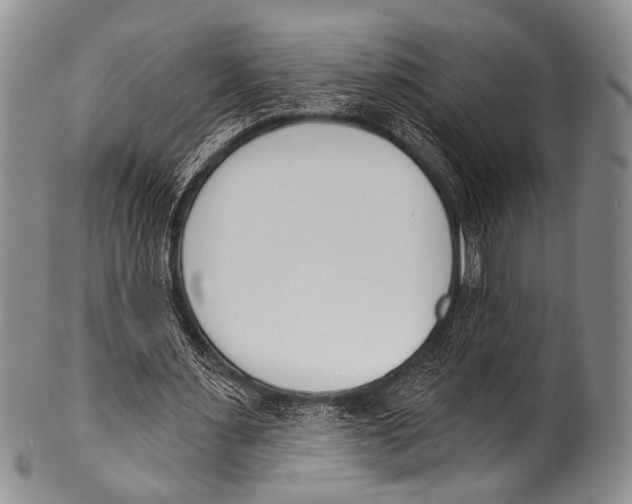 X0000100320483200806261230