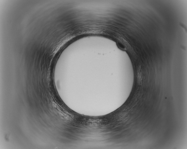 X0000100320484200806261230