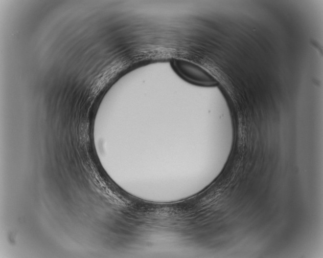 X0000100320485200806261230