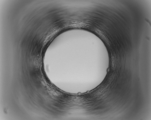 X0000100320486200806261230