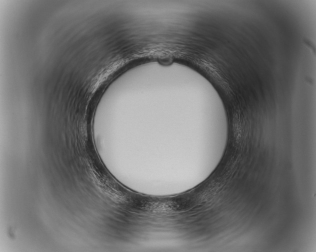 X0000100320488200806261230