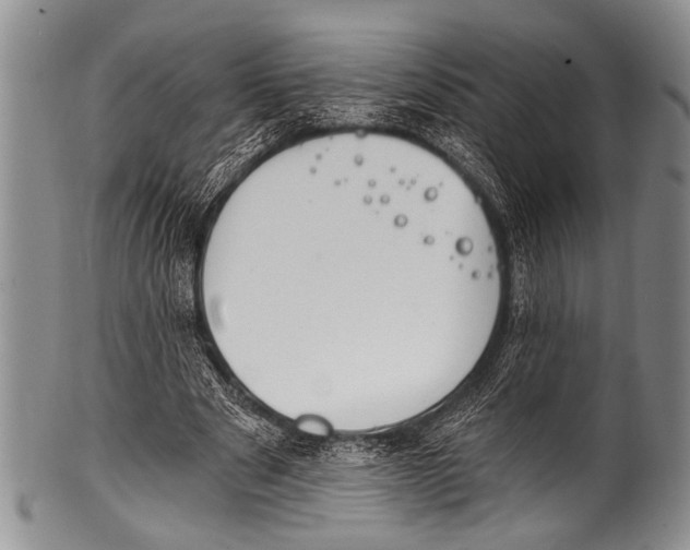 X0000100320489200806261230