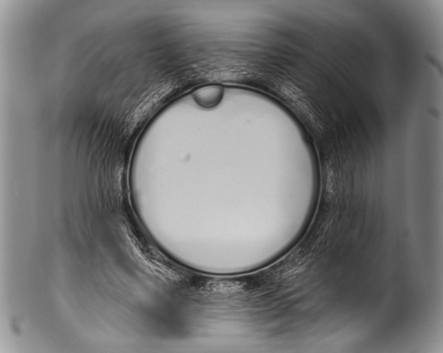 X0000100320491200806261230