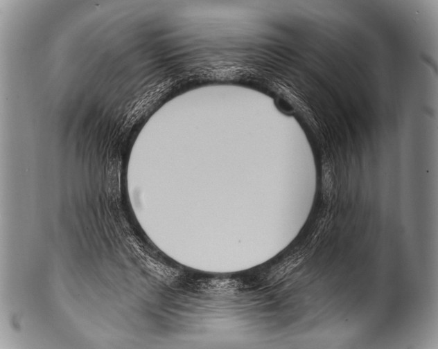 X0000100320493200806261230