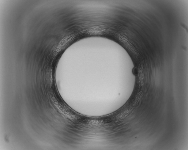 X0000100320494200806261230