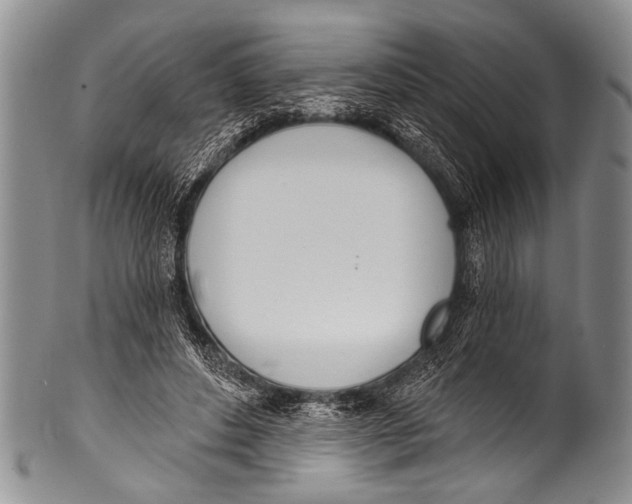 X0000100320496200806261230