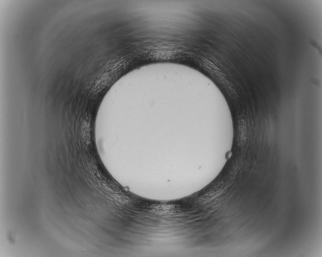 X0000100320497200806261230