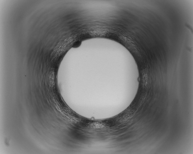 X0000100320498200806261230