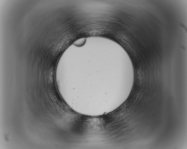 X0000100320499200806261230