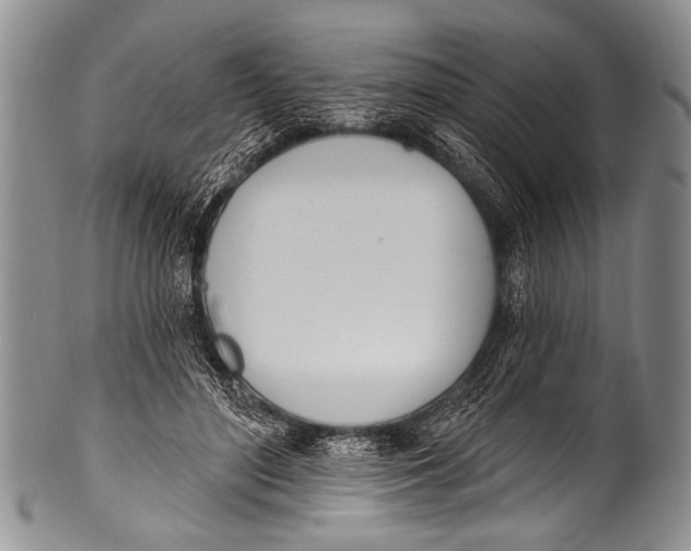 X0000100320500200806261230