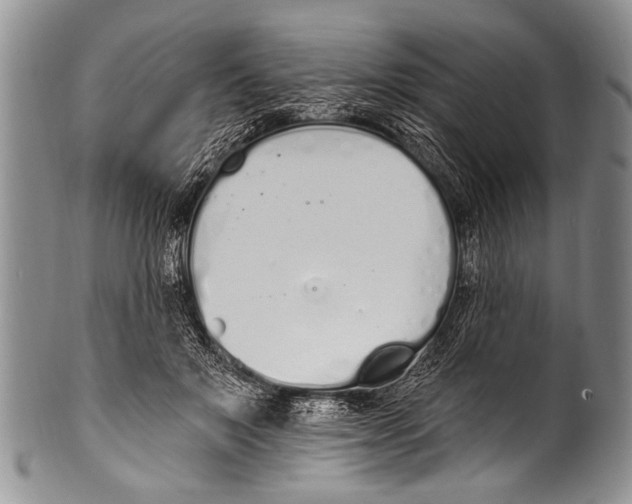 X0000100320503200806261230