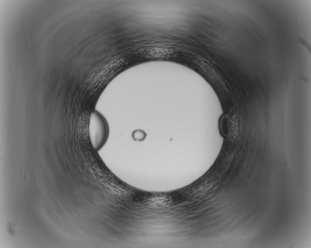 X0000100320505200806261229