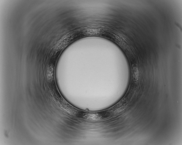 X0000100320507200806261229