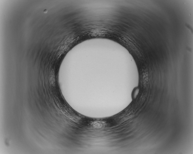 X0000100320508200806261229