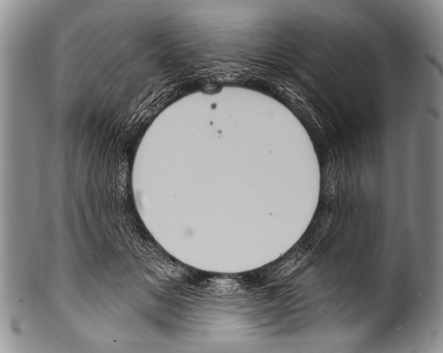 X0000100320509200806261229