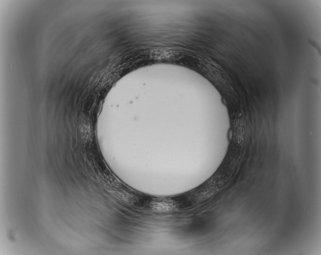 X0000100320510200806261229