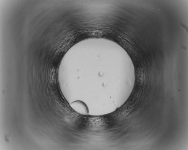 X0000100320511200806261229