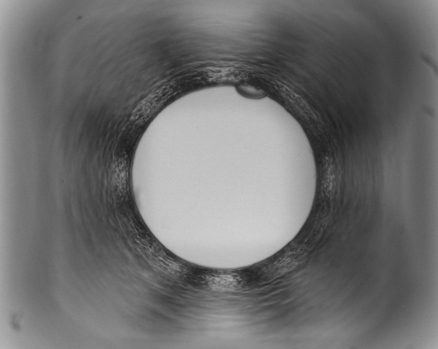 X0000100320513200806261229