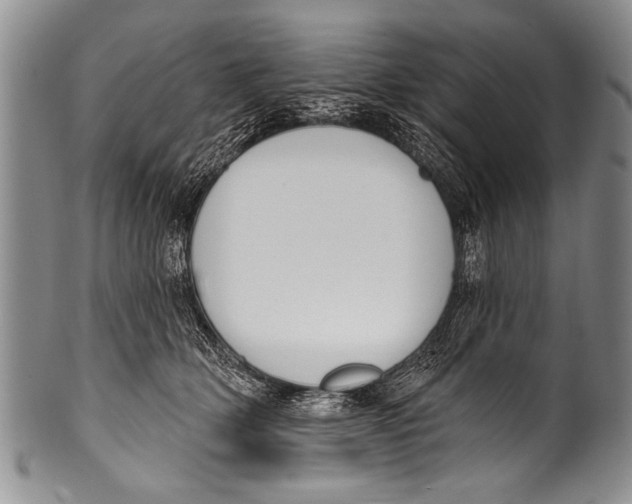 X0000100320514200806261229