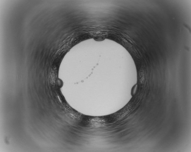 X0000100320515200806261229