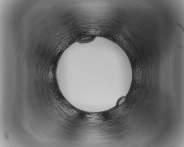 X0000100320516200806261229