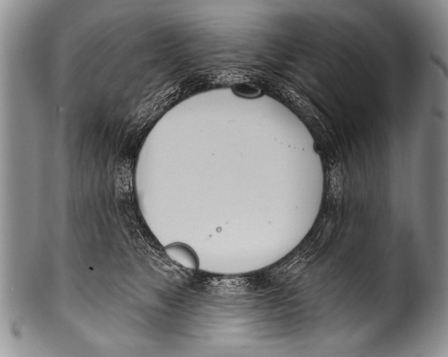 X0000100320517200806261229