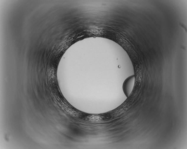 X0000100320518200806261229