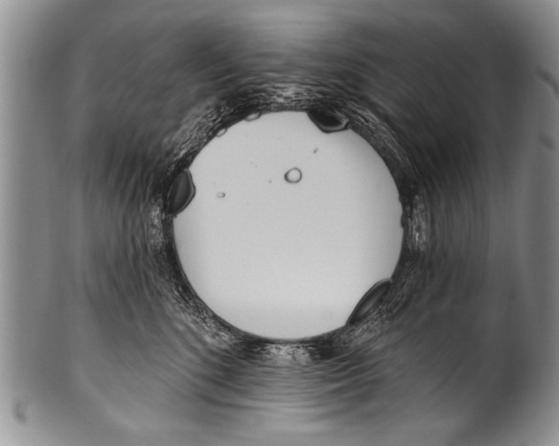 X0000100320520200806261229