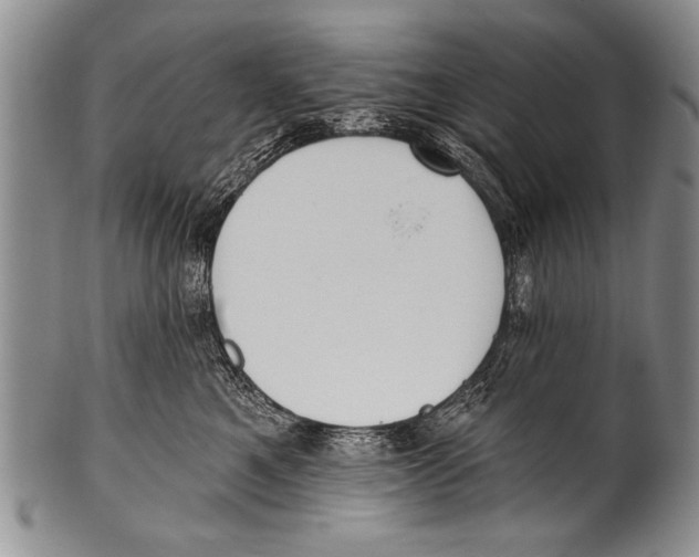 X0000100320521200806261229