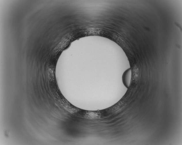 X0000100320522200806261229