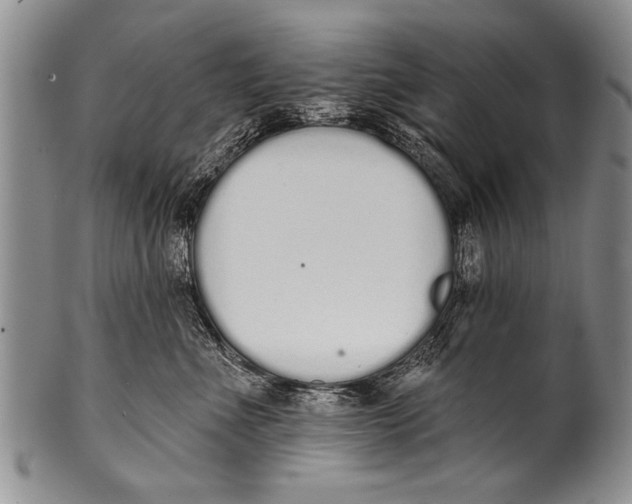 X0000100320523200806261229