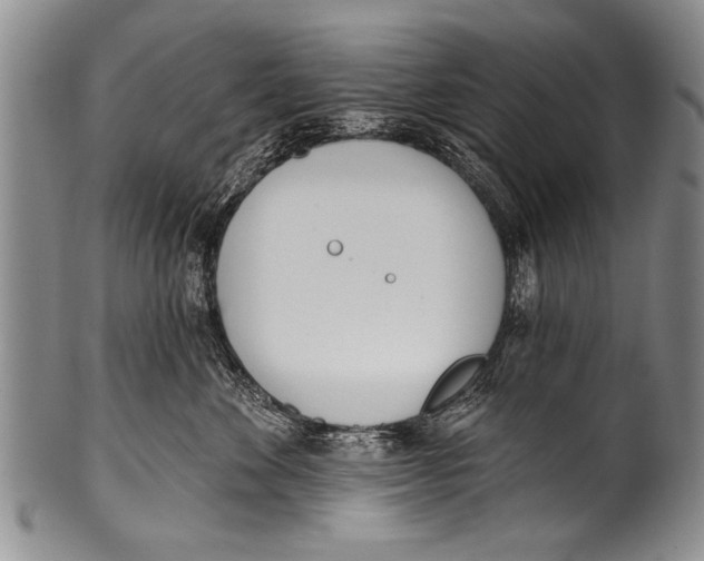 X0000100320524200806261229