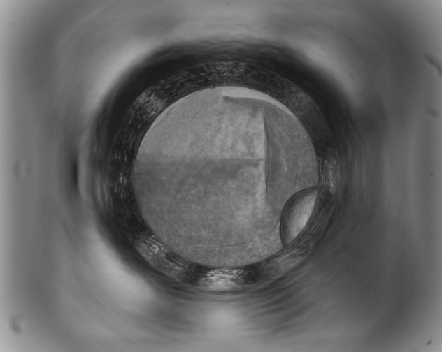 X0000100320526200806261229