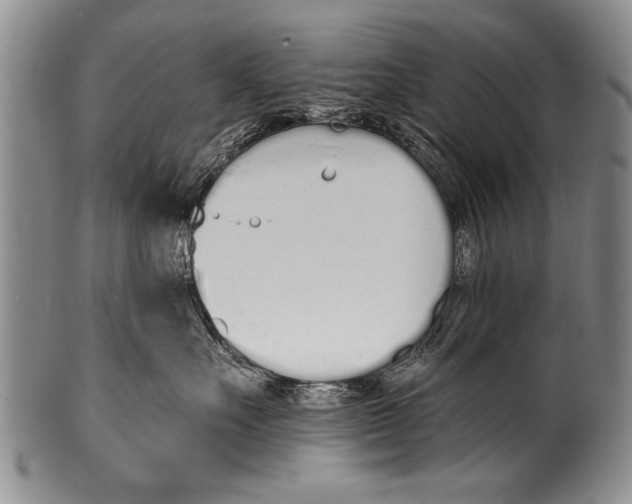 X0000100320527200806261229