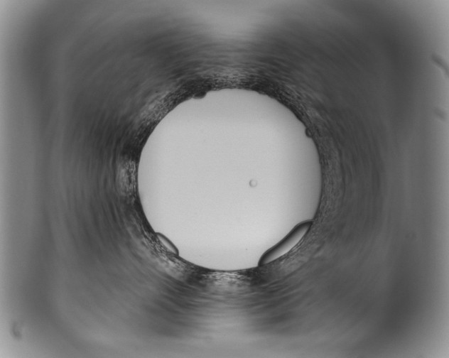 X0000100320528200806261229